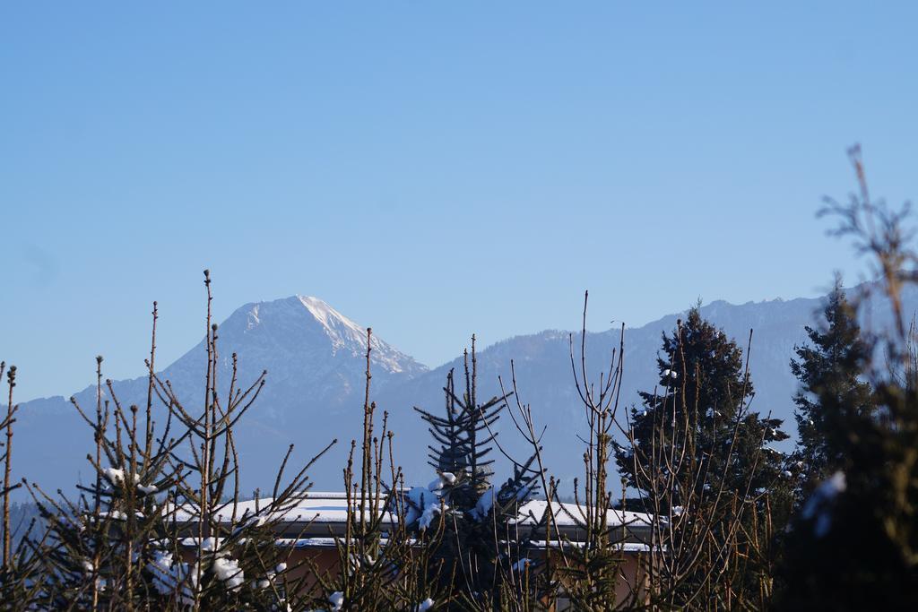 Ambiente Ferienapartments Warmbad Villach Eksteriør bilde